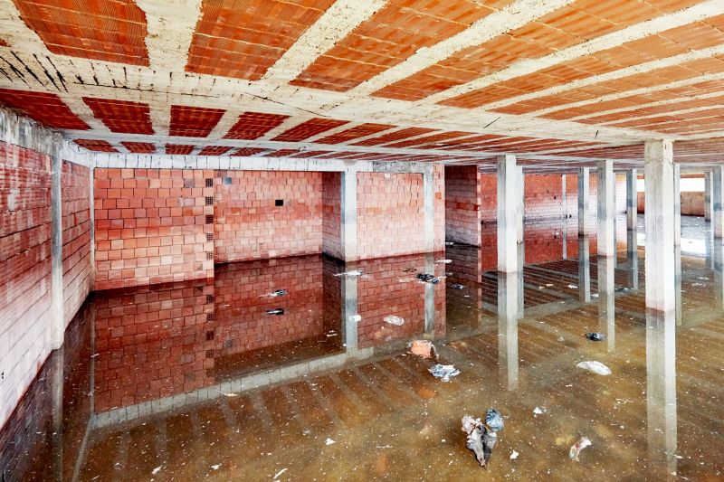 Basement Restoration Service in Chandler, AZ