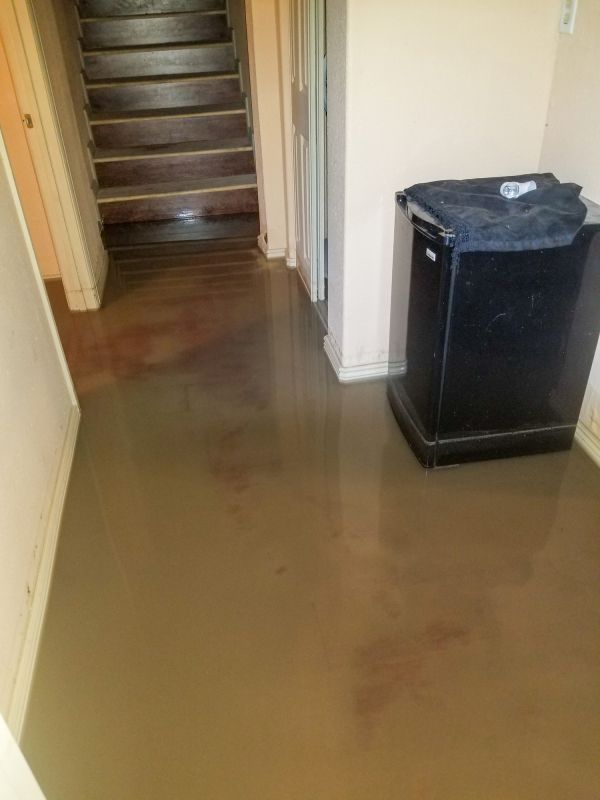 Basement Water Removal in Gilbert, AZ