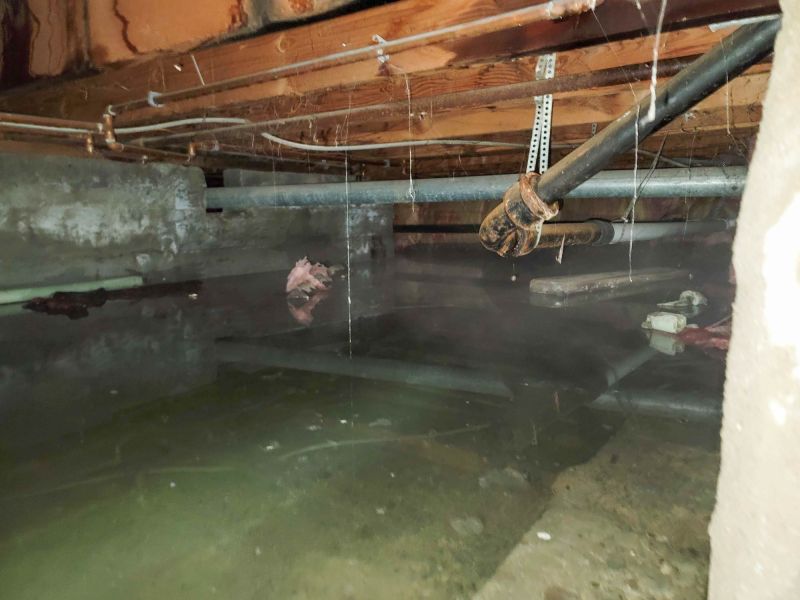 Crawlspace Water Cleanup in Mesa, AZ