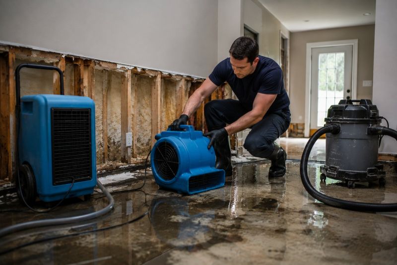 Water Damage Remediation in Chandler, AZ