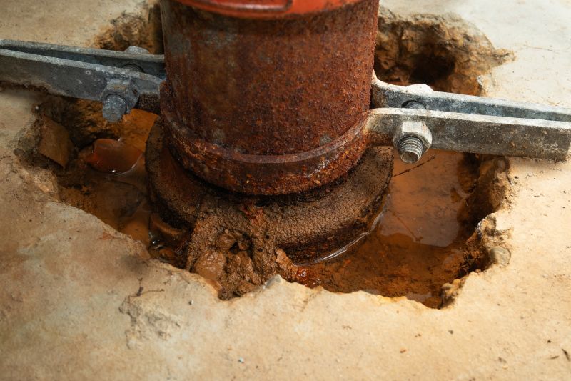 Protect your home from the harmful effects of mold and dampness