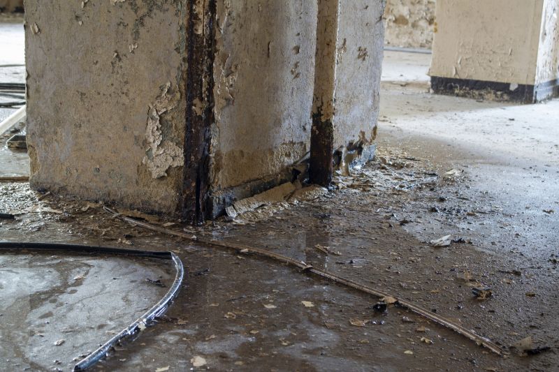 Fix leaks to avoid mold, mildew, and structural damage
